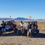 Las Vegas: Guided Las Vegas Desert Buggy Tour - An In-Depth Look at the Mojave Buggy Experience