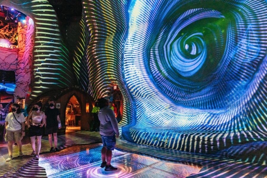 Las Vegas: Meow Wolf - Omega Mart VIP Ticket - The Artistic Marvels and Surreal Landscapes