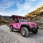 Las Vegas: Red Rock Canyon Tour & Rocky Gap 4x4 Adventure - The Sum Up