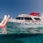 Latchi: Blue Lagoon Glass Bottom Boat Cruise with Drinks - Why This Tour Offers Good Value
