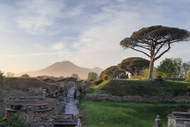 Late Afternoon Best time to visit Pompei on a private tour - Final Thoughts