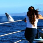 Late Morning Whale Watch Cruise from A'bay - Who Should Book This Tour?