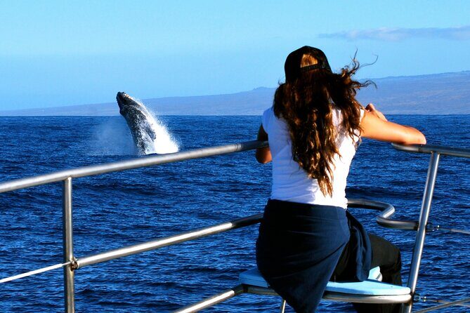 Late Morning Whale Watch Cruise from A'bay - Who Should Book This Tour?