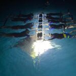 Late Night Manta Snorkel - Why Choose This Tour?