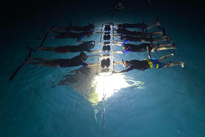 Late Night Manta Snorkel - Why Choose This Tour?