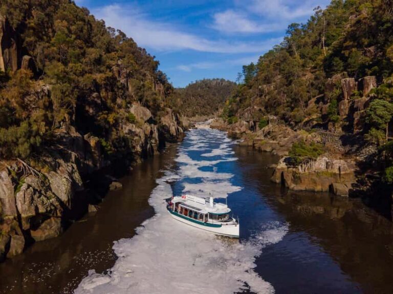 Launceston: Cataract Gorge Adventure Cruise Open Ticket - Why This Cruise Is a Great Choice