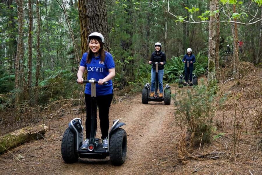 Launceston: Hollybank Forest Guided Segway Tour with Photos - Discovering Hollybank Forest by Segway: A Practical Guide