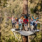 Launceston: Hollybank Forest Treetop Zip Lining with Guide - Practical details and considerations