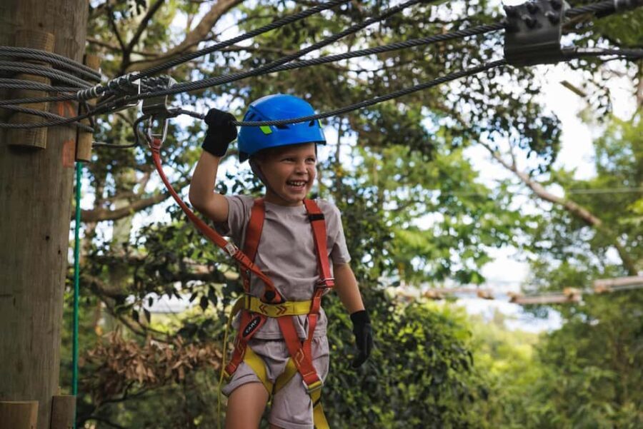 Launceston: Hollybank Junior Tree Ropes Course - The Value of the Experience