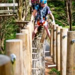 Launceston: Hollybank Tree Ropes Course - In-Depth Look at the Hollybank Tree Ropes Course Experience