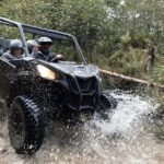 Laurentians: guided buggy tour - An Honest Look at the Guided Buggy Tour