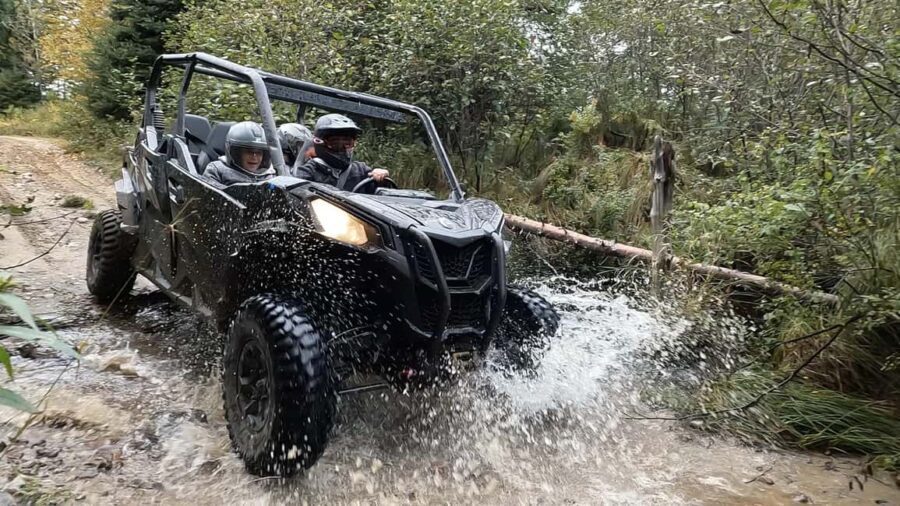 Laurentians: guided buggy tour - An Honest Look at the Guided Buggy Tour