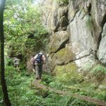 Laurissilva Forest Walk - Authentic Experiences and Authentic Reviews