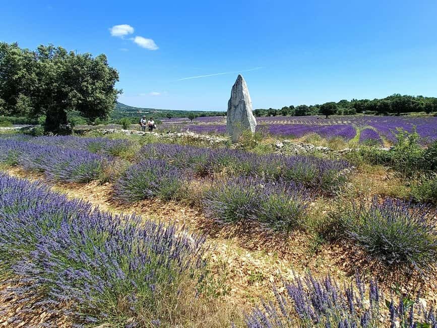 Lavande Guided Tour And Live Distillation - Who Should Consider This Tour?