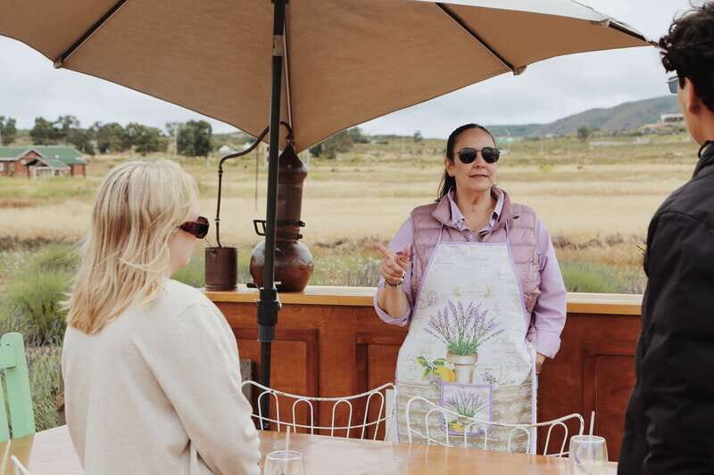 Lavender Experience Valle de Guadalupe - Guided Field Tour - Breaking Down the Itinerary