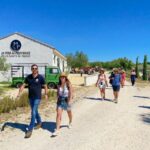 Lavender Field & Distillery Tour between Nimes & Arles - Deep Dive into the Lavender & Aromatic Plants Tour