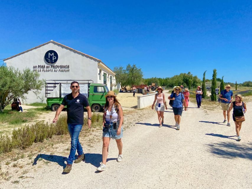 Lavender Field & Distillery Tour between Nimes & Arles - Deep Dive into the Lavender & Aromatic Plants Tour