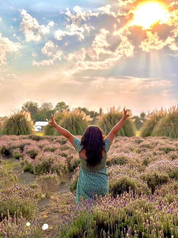 Lavender Ranch, Chautla and Val`Quirico. - What You Can Expect at Each Stop
