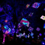 Laxenburg Castle Park: ILLUMINA Austria's largest light garden - ticket - What’s Included and What to Expect