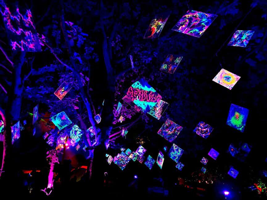 Laxenburg Castle Park: ILLUMINA Austria's largest light garden - ticket - What’s Included and What to Expect