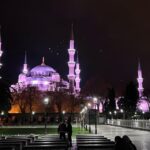 Layover Private Guided Istanbul City Tour with Transfers - Who Will Love This Tour?