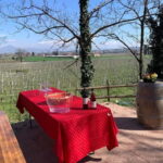 Lazise: Biodynamic Farm Tour and Natural Wine Tasting - Unlocking the Charm of Lazise’s Biodynamic Farm Tour and Wine Tasting