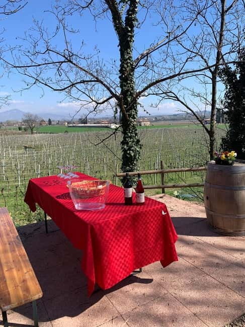 Lazise: Biodynamic Farm Tour and Natural Wine Tasting - Unlocking the Charm of Lazise’s Biodynamic Farm Tour and Wine Tasting