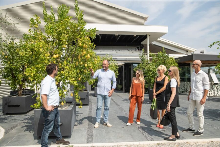 Lazise: Vineyard Tour and Organic Wine Tasting - A Deep Dive into the Lazise Vineyard Tour and Tasting