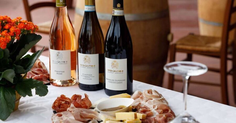 Lazise: Winery Tour with Garda Wines and Food Tasting - In-Depth Look at the Tour Experience