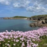 Le Conquet City Tour with a local guide - Ribine Experience - Final Thoughts: Is It Worth It?