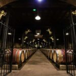 Le Hameau Duboeuf: The 1st Vine and Wine Theme Park Tour - Exploring Le Hameau Duboeuf in Detail