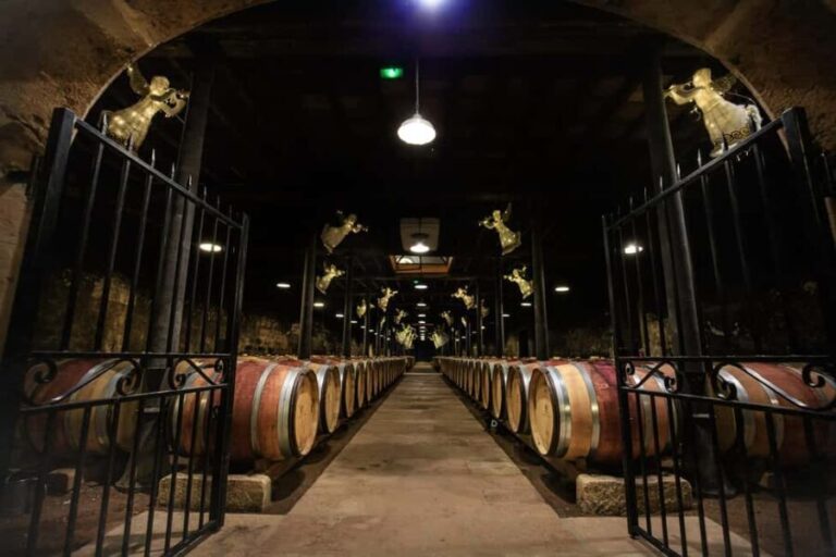Le Hameau Duboeuf: The 1st Vine and Wine Theme Park Tour - Exploring Le Hameau Duboeuf in Detail