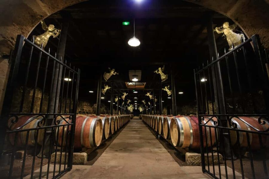 Le Hameau Duboeuf: The 1st Vine and Wine Theme Park Tour - Exploring Le Hameau Duboeuf in Detail