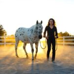 Leadership & Mindfulness Retreat with Horses - Individual & Group - The Sum Up