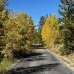Leadville: 2-Hour Guided E-Bike Tour - Who Should Consider This Tour?