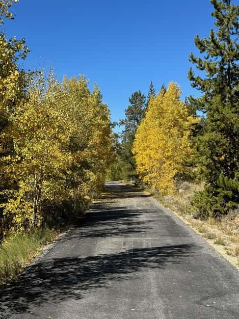 Leadville: 2-Hour Guided E-Bike Tour - Who Should Consider This Tour?
