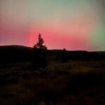 Leadville: Route of the Silver Kings Guided E-Bike Tour - The Itinerary: From California Gulch to Ghost Towns