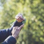Learn to forage in Llangollen - Final Thoughts