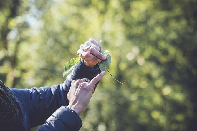 Learn to forage in Llangollen - Final Thoughts