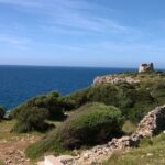Lecce and Gallipoli Full-Day Heritage and Wine Tour - Who Will Love This Tour?