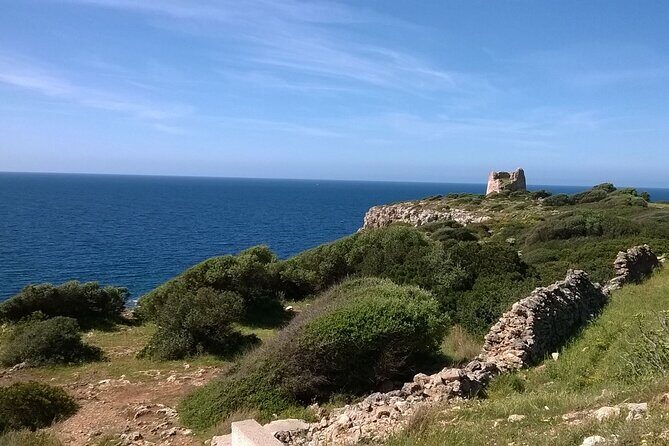 Lecce and Gallipoli Full-Day Heritage and Wine Tour - Who Will Love This Tour?