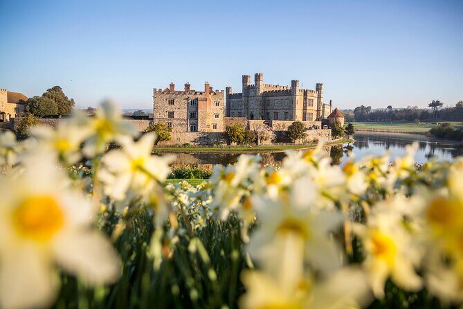 Leeds Castle and Canterbury - Day Tour from Brighton - Who Will Love This Tour?