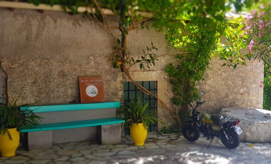 Lefkada: Olive Museum Fabbrica Ticket and Guided Tour - A Closer Look at the Olive Museum Fabbrica Experience