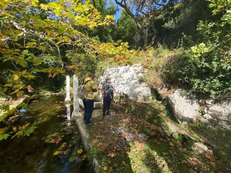 Lefkada: Path of Springs Hike with Olive Oil Tasting - An In-Depth Look at Lefkada’s Path of Springs Hike with Olive Oil Tasting