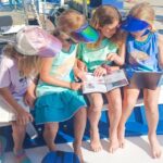 Lefkada: Private Marine Wildlife tour - Who Should Consider This Tour?