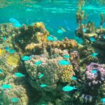 Legend Storytelling and Stargazing in Bora Bora - The Sum Up: A Unique Night Under Bora Bora’s Stars