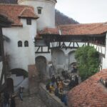 Legends&Wildlife Awaits: Dracula's Castle & Bear Sanctuary - Who Is This Tour For?