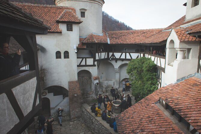 Legends&Wildlife Awaits: Dracula's Castle & Bear Sanctuary - Who Is This Tour For?