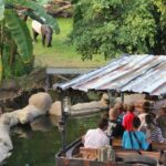 Leipzig: 1-Day Hop-On Hop-Off Bus and Leipzig Zoo Ticket - FAQ