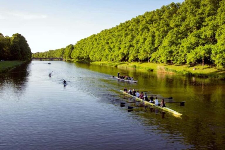 Leipzig: Private bike tour to the Neuseenland with certified guide - The Itinerary in Detail